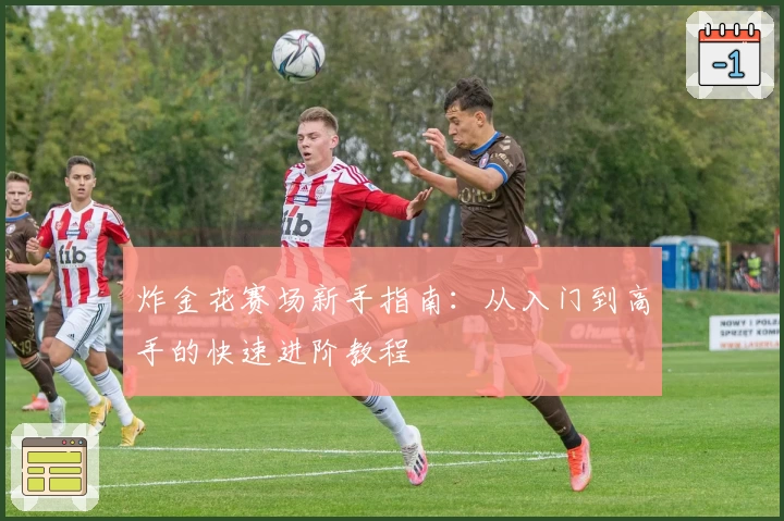 炸金花赛场新手指南:从入门到高手的快速进阶教程