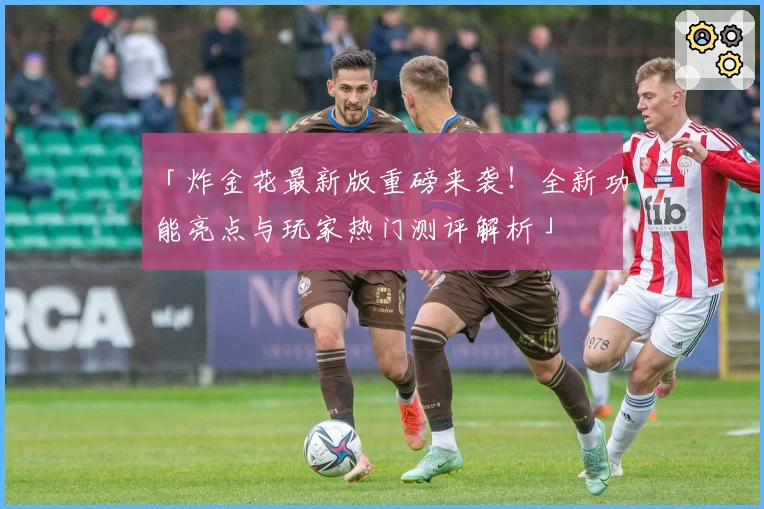 「炸金花最新版重磅来袭！全新功能亮点与玩家热门测评解析」