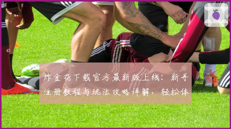 炸金花下载官方最新版上线：新手注册教程与玩法攻略详解，轻松体验掌上竞技魅力