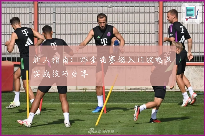 新人指南：炸金花赛场入门攻略及实战技巧分享