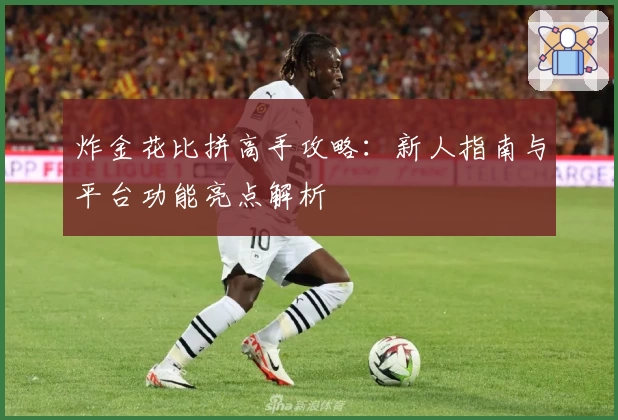 炸金花比拼高手攻略：新人指南与平台功能亮点解析