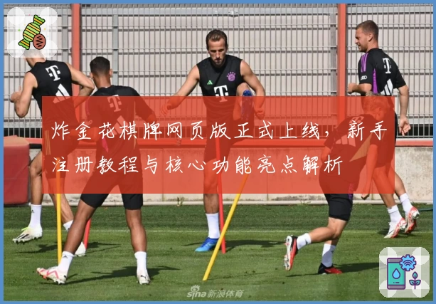 炸金花棋牌网页版正式上线，新手注册教程与核心功能亮点解析